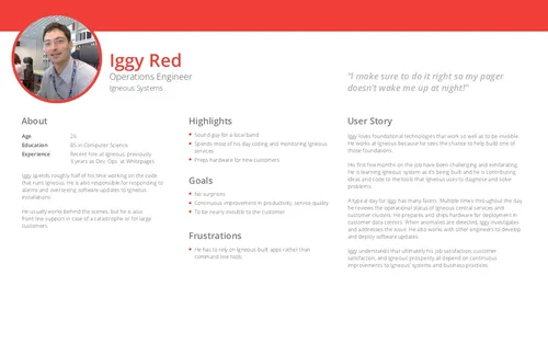 Iggy — user persona